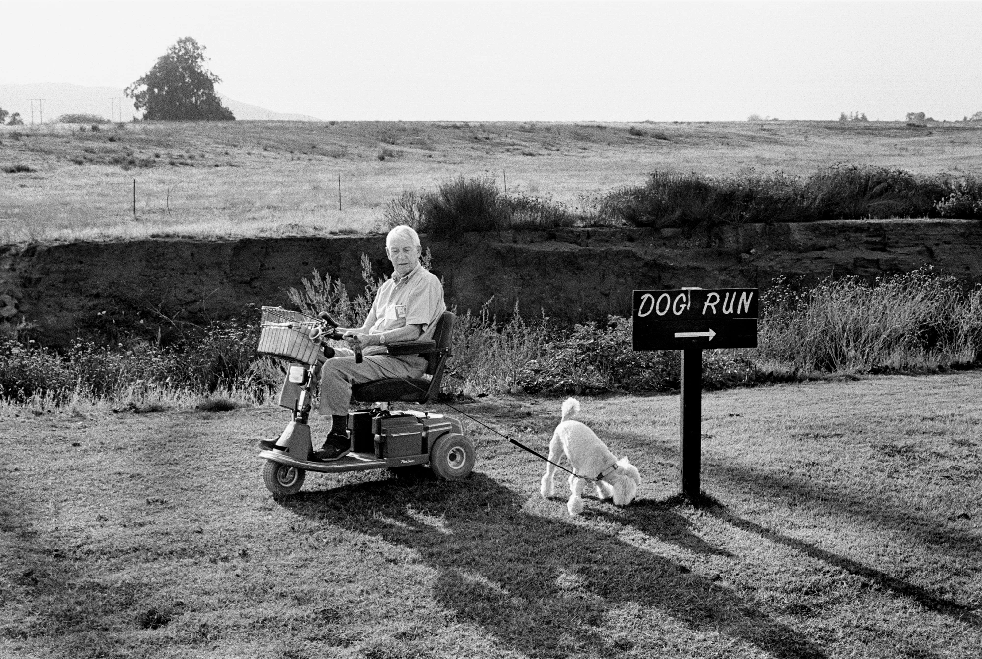 Aging in America — selected image 8