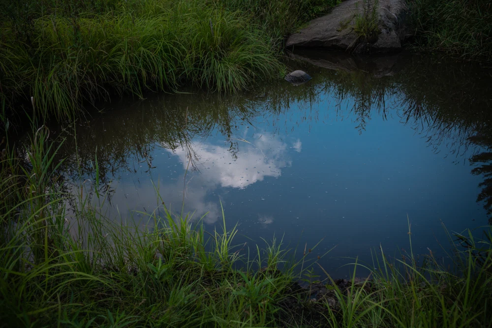 All the Colors I Am Inside — selected image 3