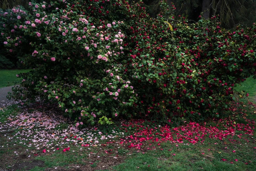 All the Colors I Am Inside — selected image 5