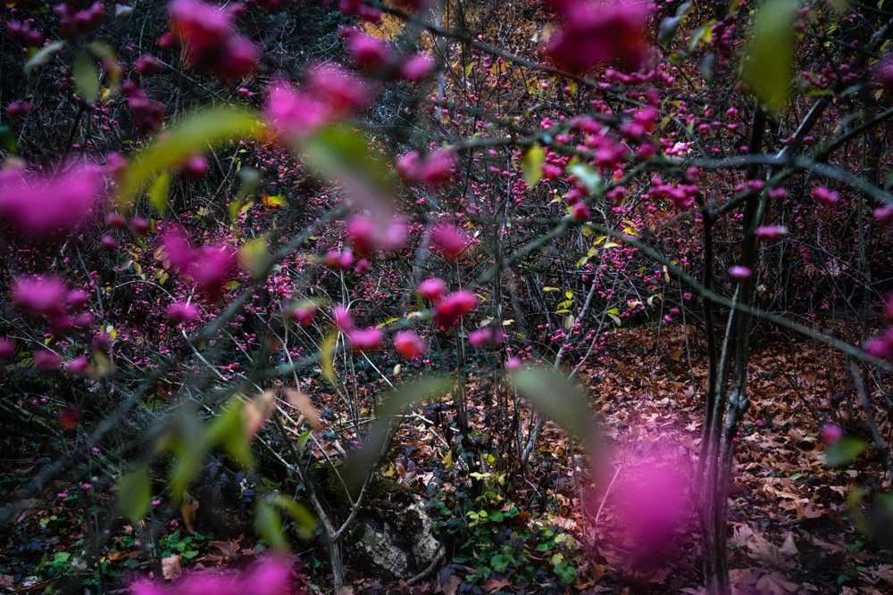 All the Colors I Am Inside — selected image 7