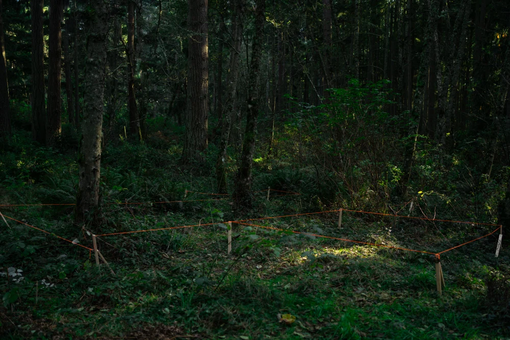 All the Colors I Am Inside — selected image 8