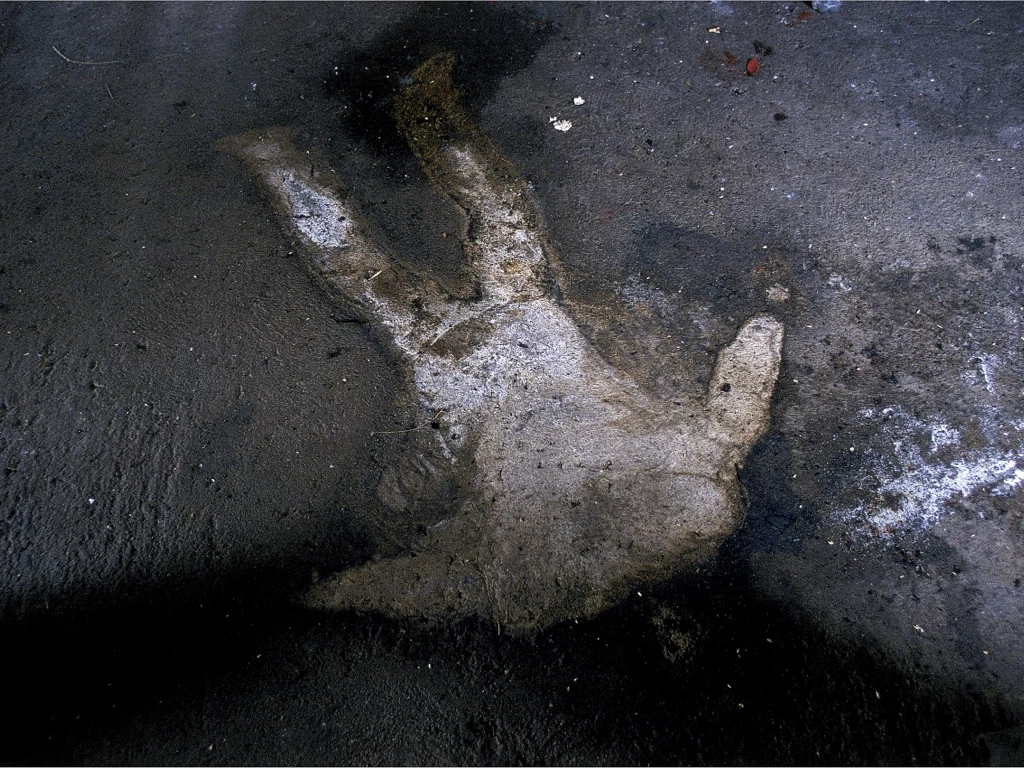 Blood and Honey — selected image 13