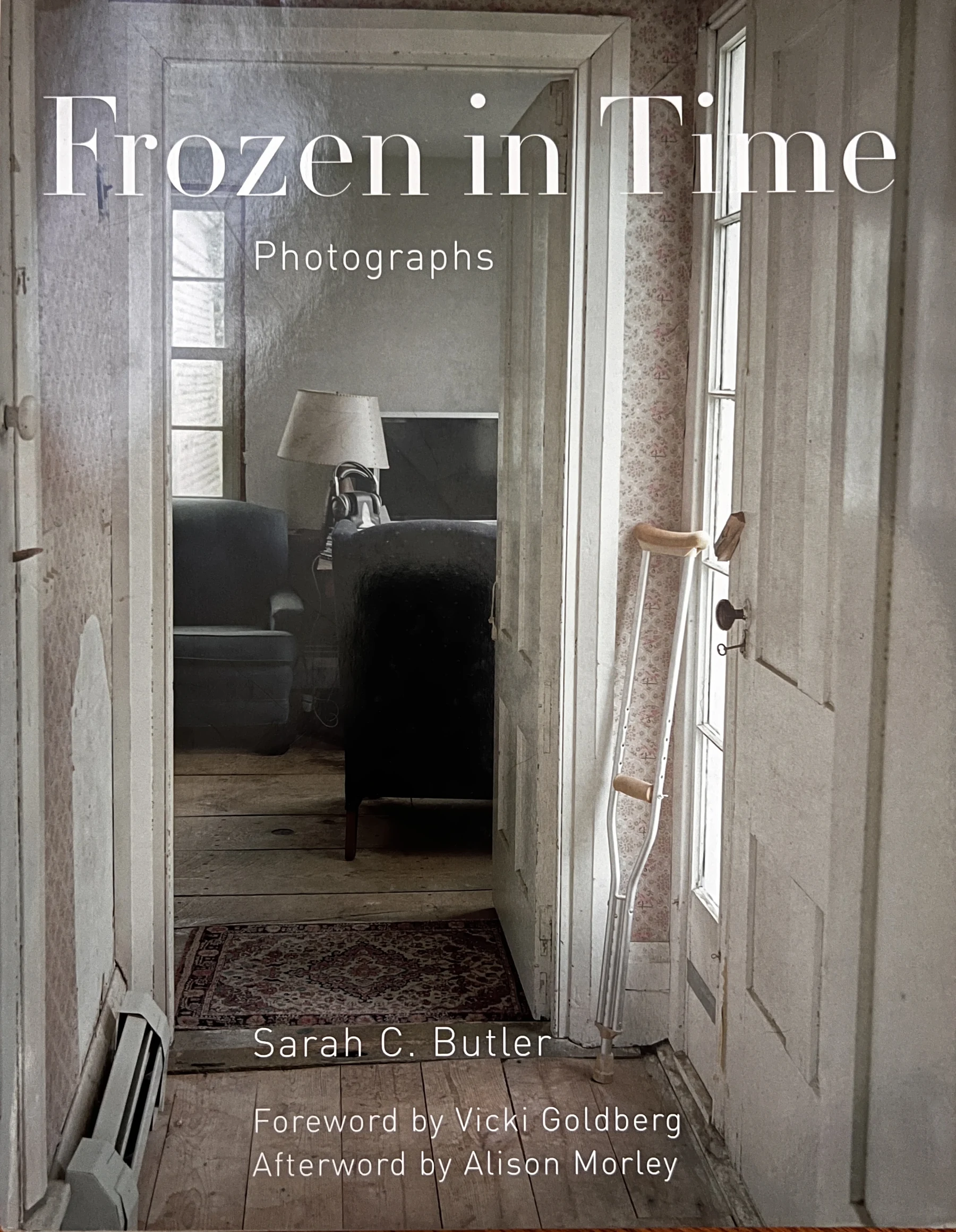 Frozen in Time book cover