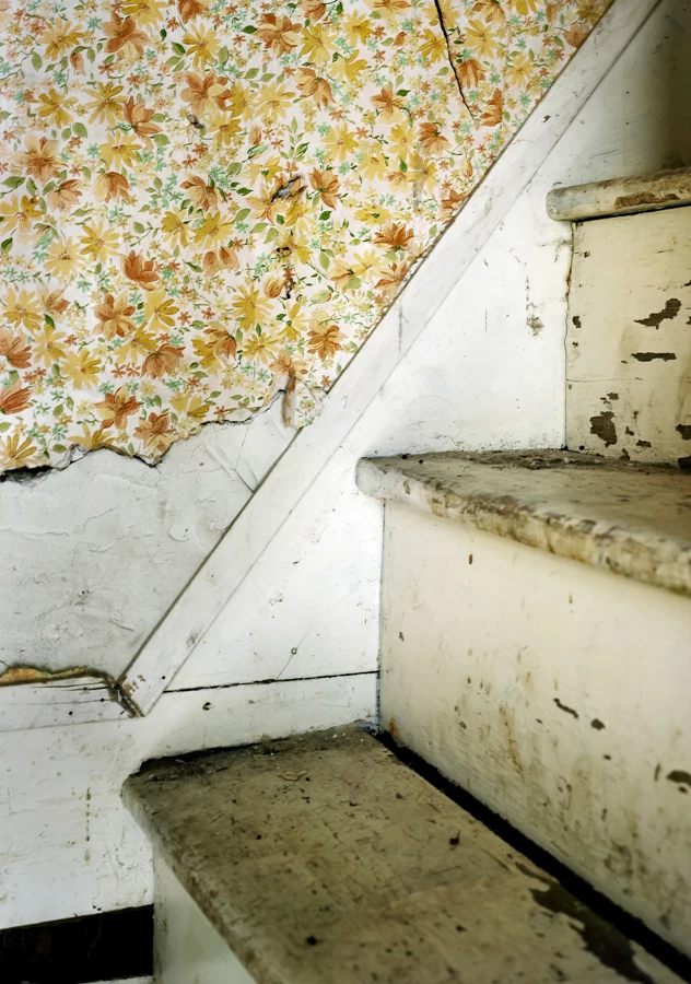 Frozen in Time — selected image 2