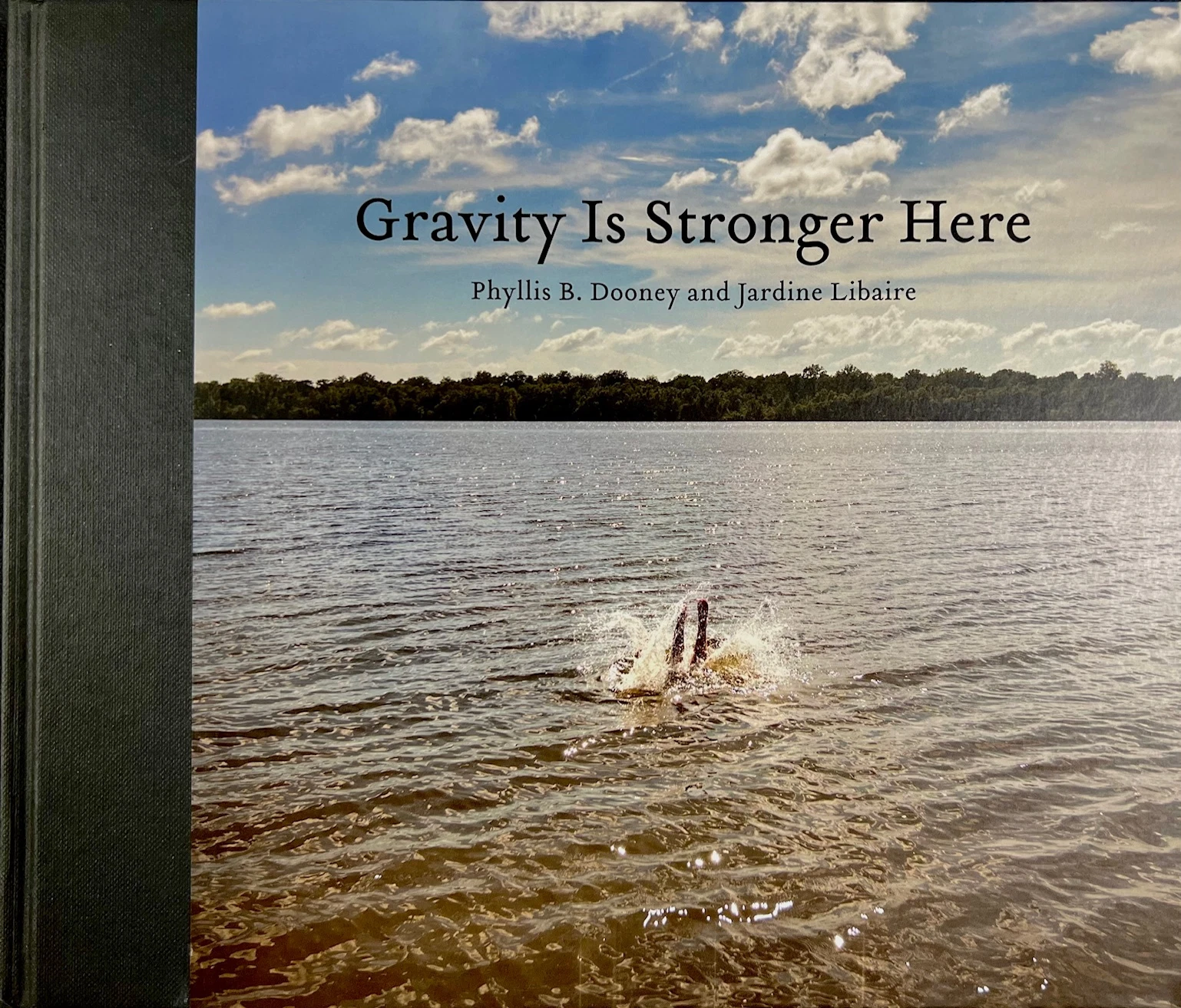 Gravity Is Stronger Here book cover
