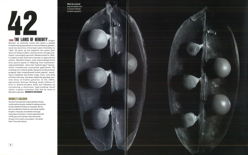 Millennium — selected image 4