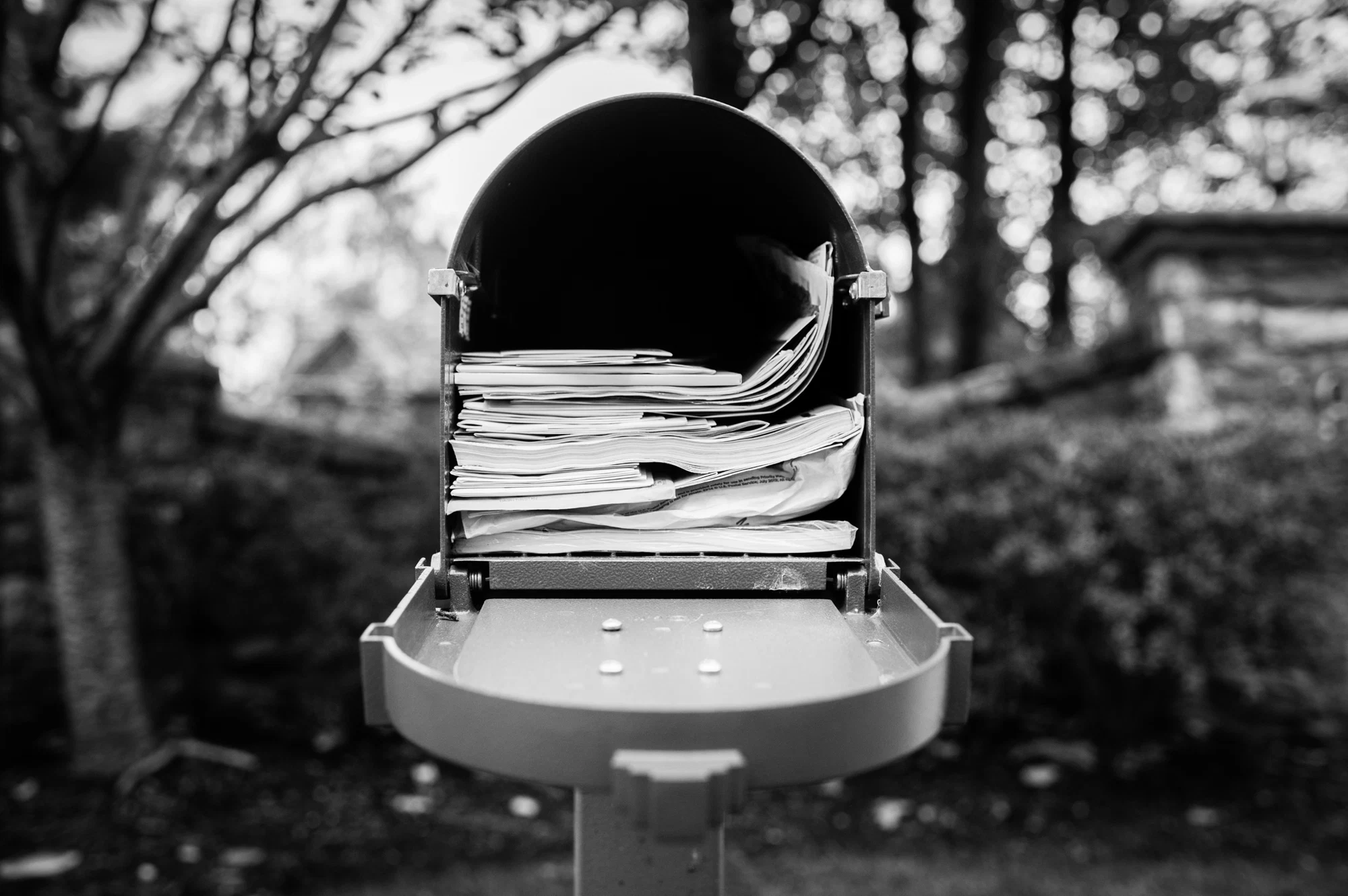 The Family Imprint — selected image 7