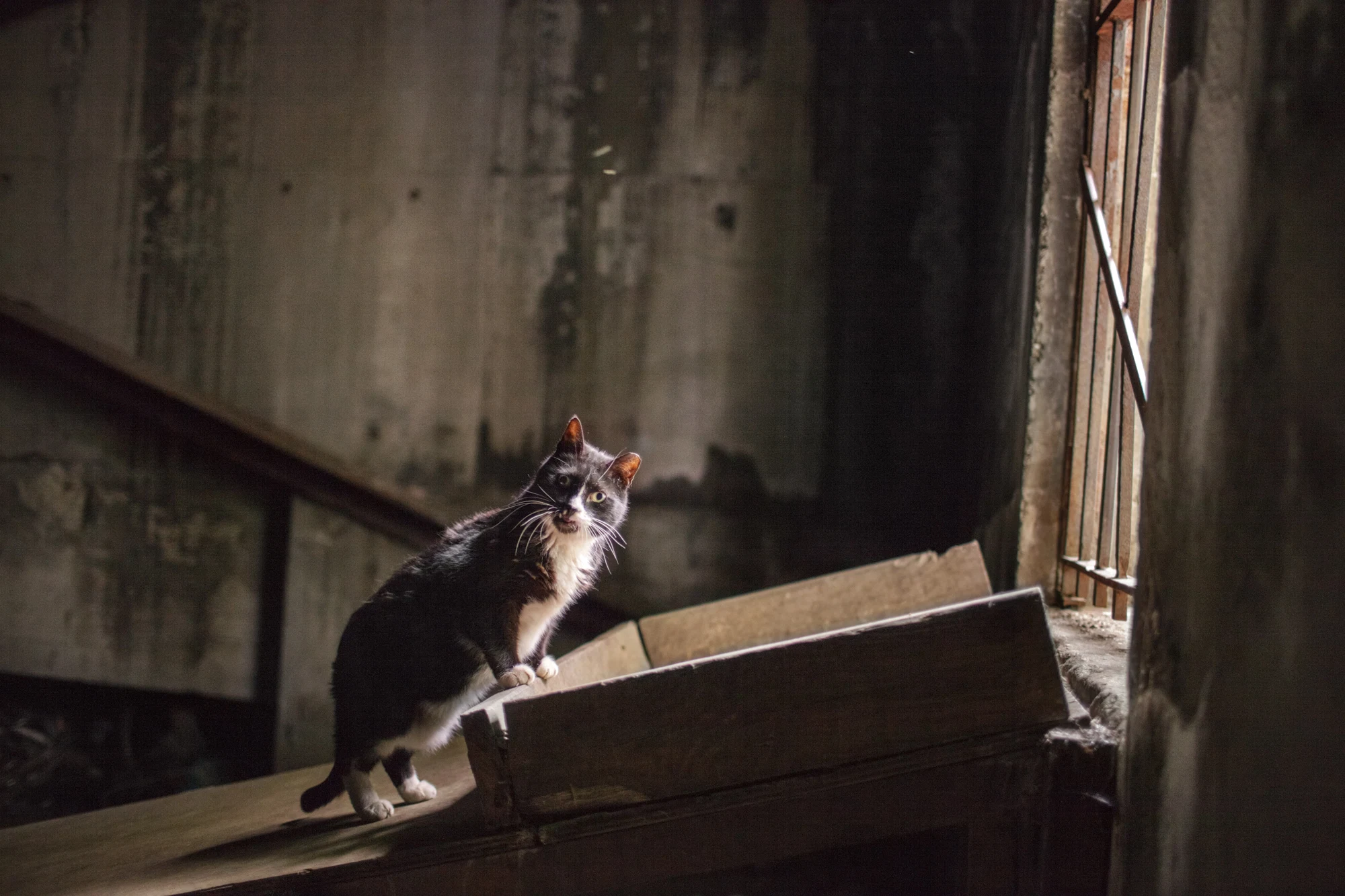 Urban Cave — selected image 5